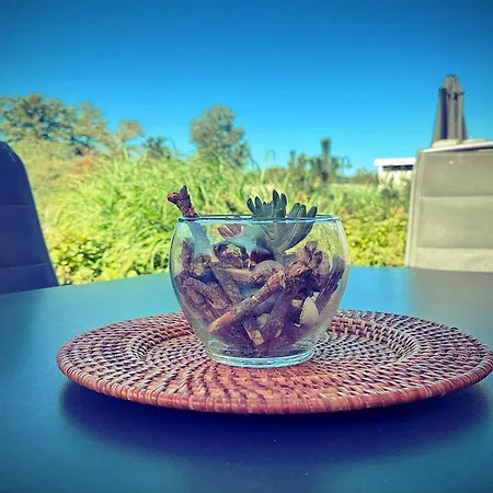 Am Mariannenweg Reethaus 03a Casa vacanze Boltenhagen (Ostseebad)